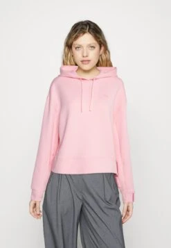 Lacoste Sweat À Capuche - Waterlily