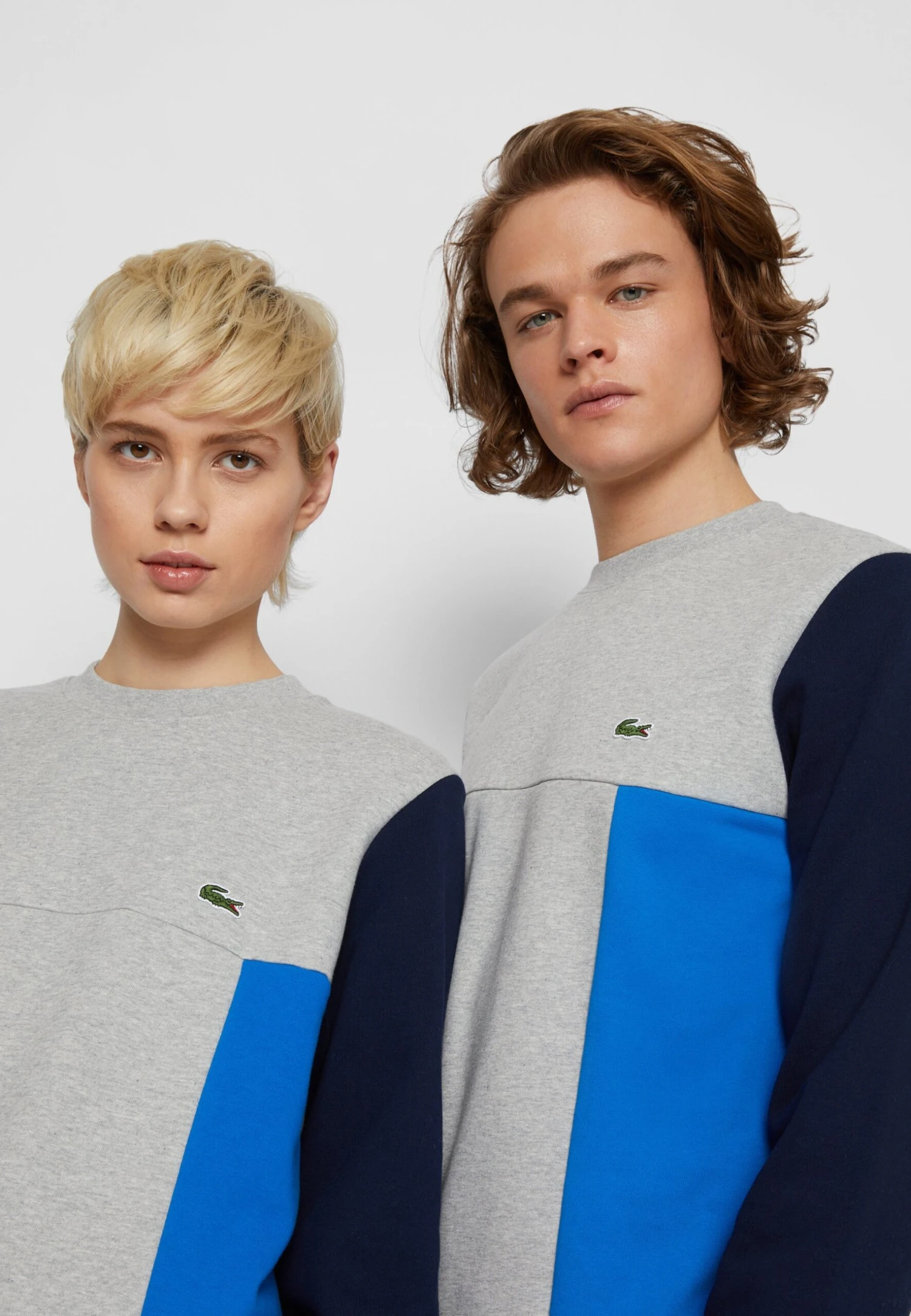 Lacoste Unisex - Sweatshirt - Silver Chine/Green/Navy Blue/Blue Royal – Image 6