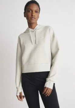 Lacoste Sweat À Capuche - Hammam