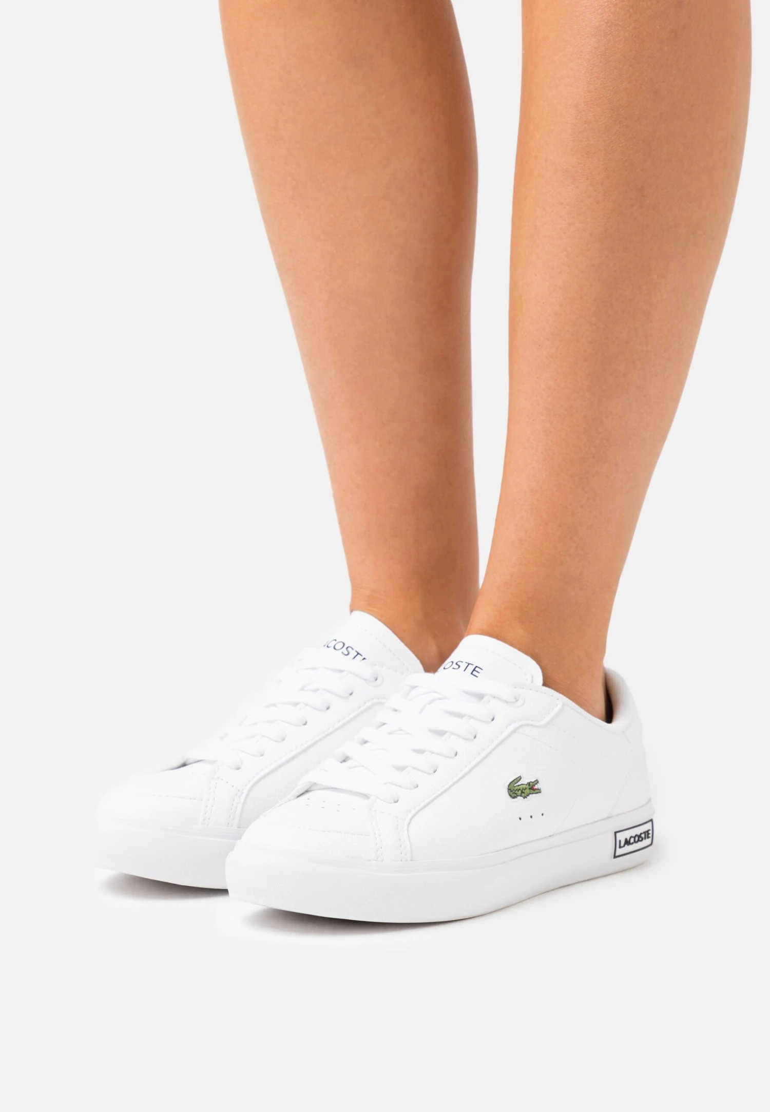 Lacoste Powercourt - Baskets Basses - White/Black
