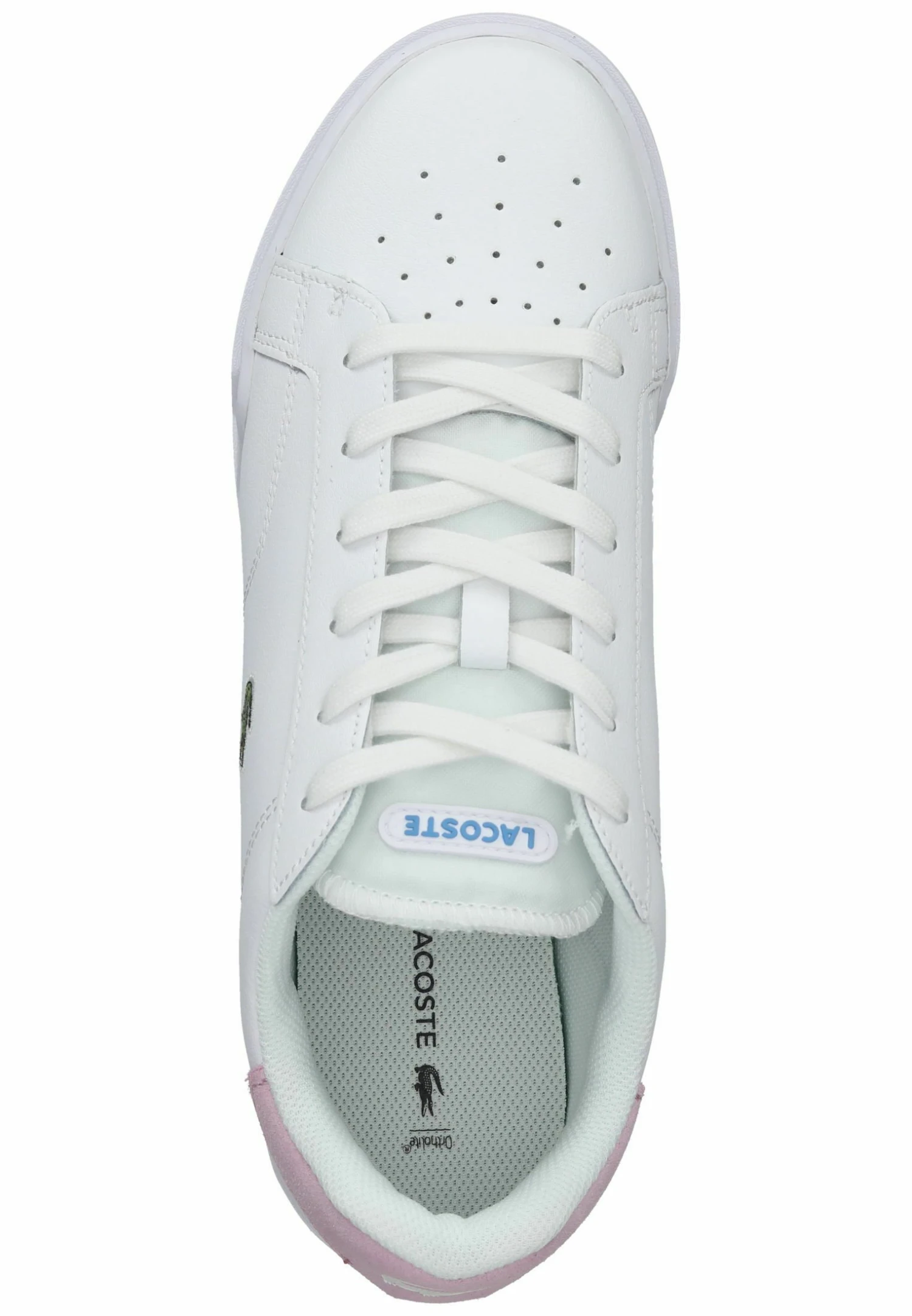 Lacoste Baskets Basses - White Light Pink – Image 3